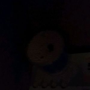 Meet your Posher, Hope